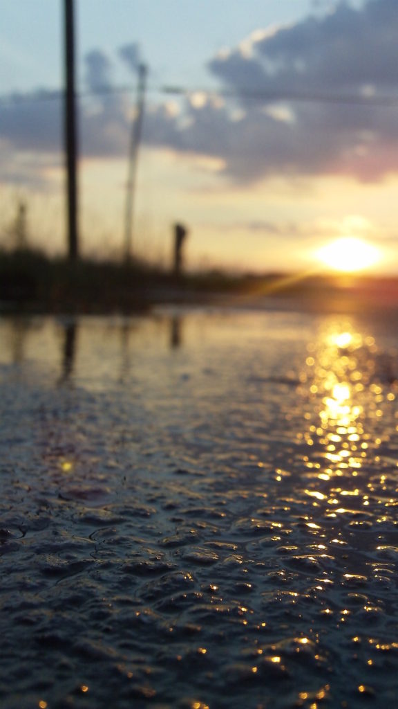 wet asphalt road at sunset